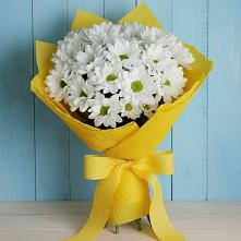 Букет цветов из:  Хризантемы в Зеленогорске