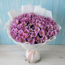 Букет цветов из:  Хризантемы #REPLACE_PRED# Зеленогорске