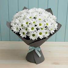 Букет цветов из:  Хризантемы в Зеленогорске