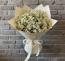 Букет цветов из:  Ромашки #REPLACE_PRED# Зеленогорске