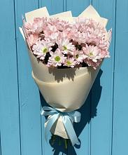 Букет цветов из:  Хризантемы в Зеленогорске