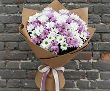 Букет цветов из:  Хризантемы в Зеленогорске