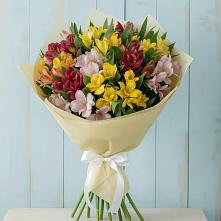 Букет цветов из:  Альстромерии в Зеленогорске