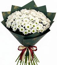 Букет цветов из:  Хризантемы в Зеленогорске