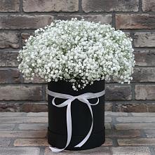 Цветочная композиция из Гипсофила в шляпной коробке в Зеленогорске