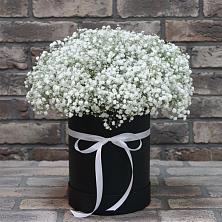 Цветочная композиция из Гипсофила в шляпной коробке в Зеленогорске