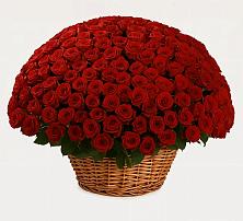 Премиум букет из: Розы в Зеленогорске