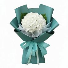 Букет цветов из:  Гортензия в Зеленогорске